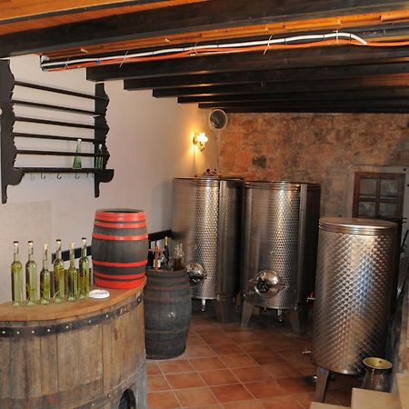 Villa Radovan Novigrad Istria Kültér fotó